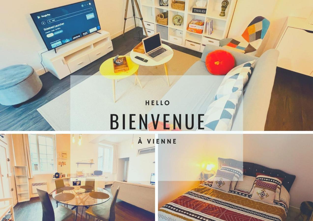 L'Appartement Du Temple A Vienne Екстер'єр фото