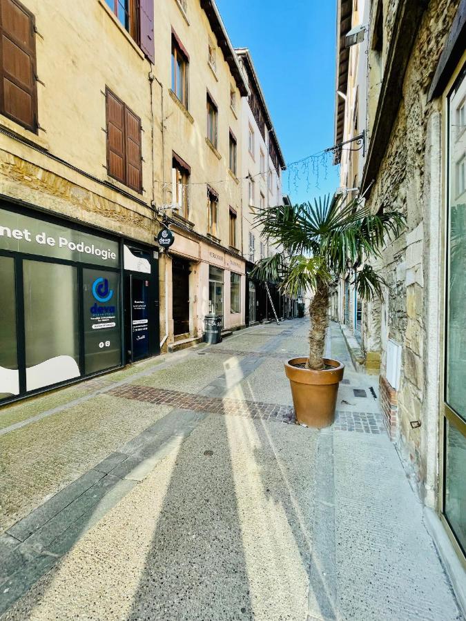 L'Appartement Du Temple A Vienne Екстер'єр фото